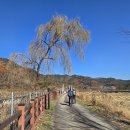 현리10-16농로 | DMZ 평화의길 25코스 양구 *종점상회~두타연갤러리 평화쉼터* (25.11.05)