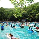 성주산자연휴양림 이미지