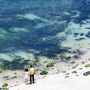 추억만들기 이미지