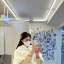 하루필름 전주한옥마을점 이미지