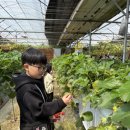 용인대 태풍태권도장 이미지