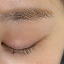 압구정 꽈배기 | [신사동;압구정역] 라피네뷰티스튜디오 속눈썹펌 압구정 속눈썹 잘하는 곳 후기