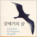 갈매기의 꿈 이미지