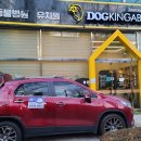 도킹어바웃 | 우주펫 픽업셔틀 | 강남구 강아지 유치원 도킹어바웃 정기운행