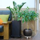 누리동의보감한의원 이미지