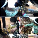 에델바이스어린이집 이미지