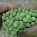 토종마트 이미지