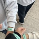 브리더독 | 🦎 수원 파충류 박람회 파동 · 파충류 동반자 후기 — 엄마도 홀딱 반한 크레스티드 게코 입양기