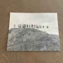 여행 페어몬트 레이크루이스 호텔 레스토랑 조식 후기 | 루이자 레스토랑 | 레이크뷰 라운지바 | 디럭스...