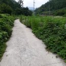 현서면사무소 이미지