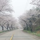당나루물꽃마을 이미지