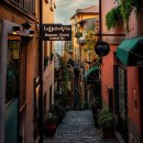 행정사 모든 이미지