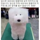 크로아상 아니고 크로아티아요 (2)