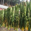 들뫼펜션 이미지