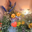 디토키즈풀빌라 | 양평 키즈펜션 디토키즈풀빌라 아이와함께 독채펜션 B동 후기