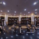 미래웰리스타운 | 능곡역 헬스장 추천 웰리스휘트니스 / 월간 보험소식지