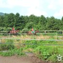 성읍승마장 이미지