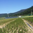 석암농장 이미지