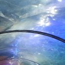 오션시티(Ocean City) 이미지