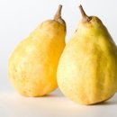 예담산부인과의원 이미지