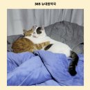 뉴대원약국 이미지