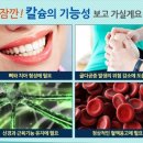 비디스토리 칼슘든미녀 칼슘영양제 후기