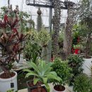 수인로지하차도 이미지