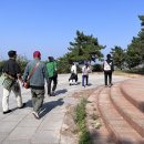 송림미트 이미지