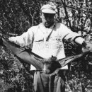 작은날개2 이미지