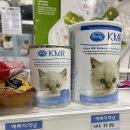 예뻐지개냥 이미지