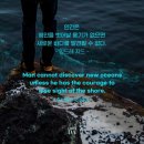 태장청학복싱&무에타이 이미지