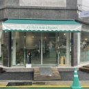 셀로나(Celona) 이미지