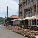 능산2리(바위안) | 포항 오도리 해루질 38개월 아이와 함께한 후기