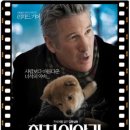하치이야기 | 『하치 이야기 (Hachi: A Dog’s Tale, 2009)』 감성 영화리뷰,정보,줄거리,명대사,명장면,관람평