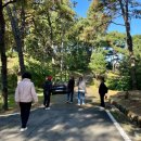 탄금공원 (탄금대로 방향) | 충북 충주여행 가볼만한곳 산책하기 좋은 탄금대공원