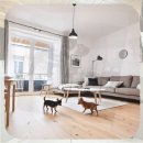 영광동물병원 | 영광 애견분양 새벽 2시까지 이어진 나의 고민