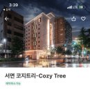 코지트리 호텔(서면점) 이미지