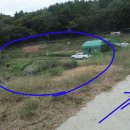 좌산농장 네이버블로그