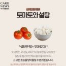 토마토와 설탕 이미지