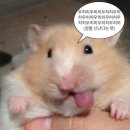 해피니언 제천문화의거리점