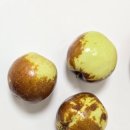 세중농장 이미지