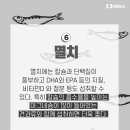 출출할때 이미지