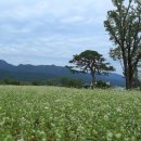 동화택시 이미지