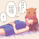 멘다코 이미지