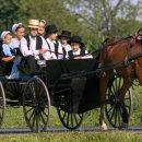 현대문명을 거부하는 사람들 아미쉬 (Amish) 이미지