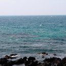 이호해변 이미지