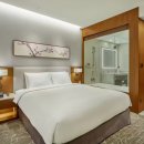 호텔스카이파크 센트럴 서울판교점(HOTEL SKYPARK CENTRAL SEOUL PANGYO) | 호텔스카이파크센트럴서울판교: 판교 테크노밸리·서현역 초역세권, 탄천 명품 웰니스 러닝과 전국구...