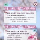 문화한바퀴(나종사랑) | 영암 왕인문화축제 방금 다녀온 벚꽃 후기 / 주차 먹거리 티니핑 포토존 에코백 체험 초대가수 등등