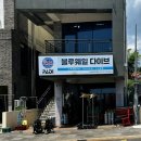 마크웨일 | 제주도 프리다이빙 초보자도 가능한 블루웨일다이브 후기