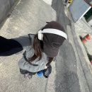 석기농장 | [부산주말농장일기] 밭에 심은 다이소 씨앗후기 / 4월 모종심기